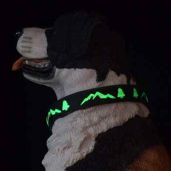  светодиодные светящиеся ошейники для собак Перезаряжаемый светящийся ошейник для домашних животных Регулируемый ошейник для собак Ошейник для собак Ожерелья безопасности для домашних животных